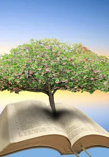Die Bibel und der Lebensbaum